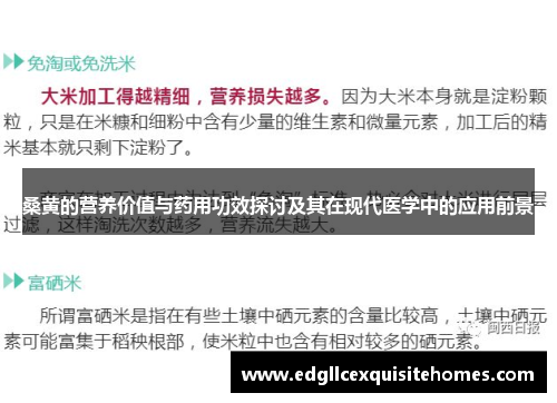 桑黄的营养价值与药用功效探讨及其在现代医学中的应用前景