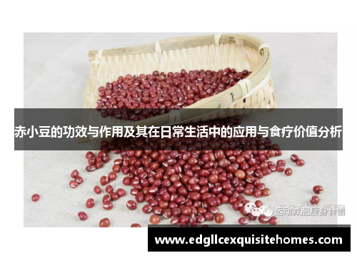 赤小豆的功效与作用及其在日常生活中的应用与食疗价值分析